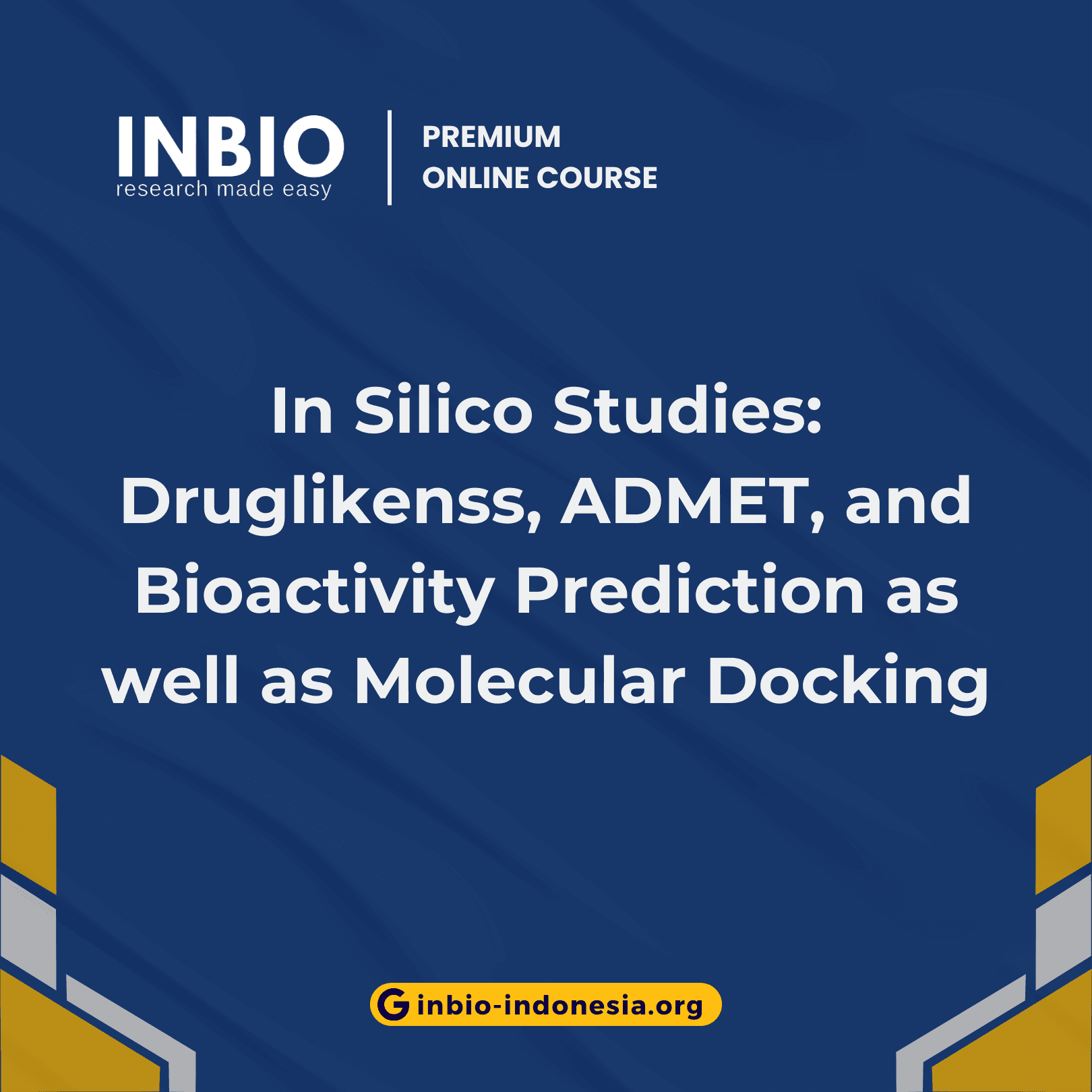 In Silico Studies: Druglikenss, ADMET, and Bioactivity Prediction as well as Molecular Docking