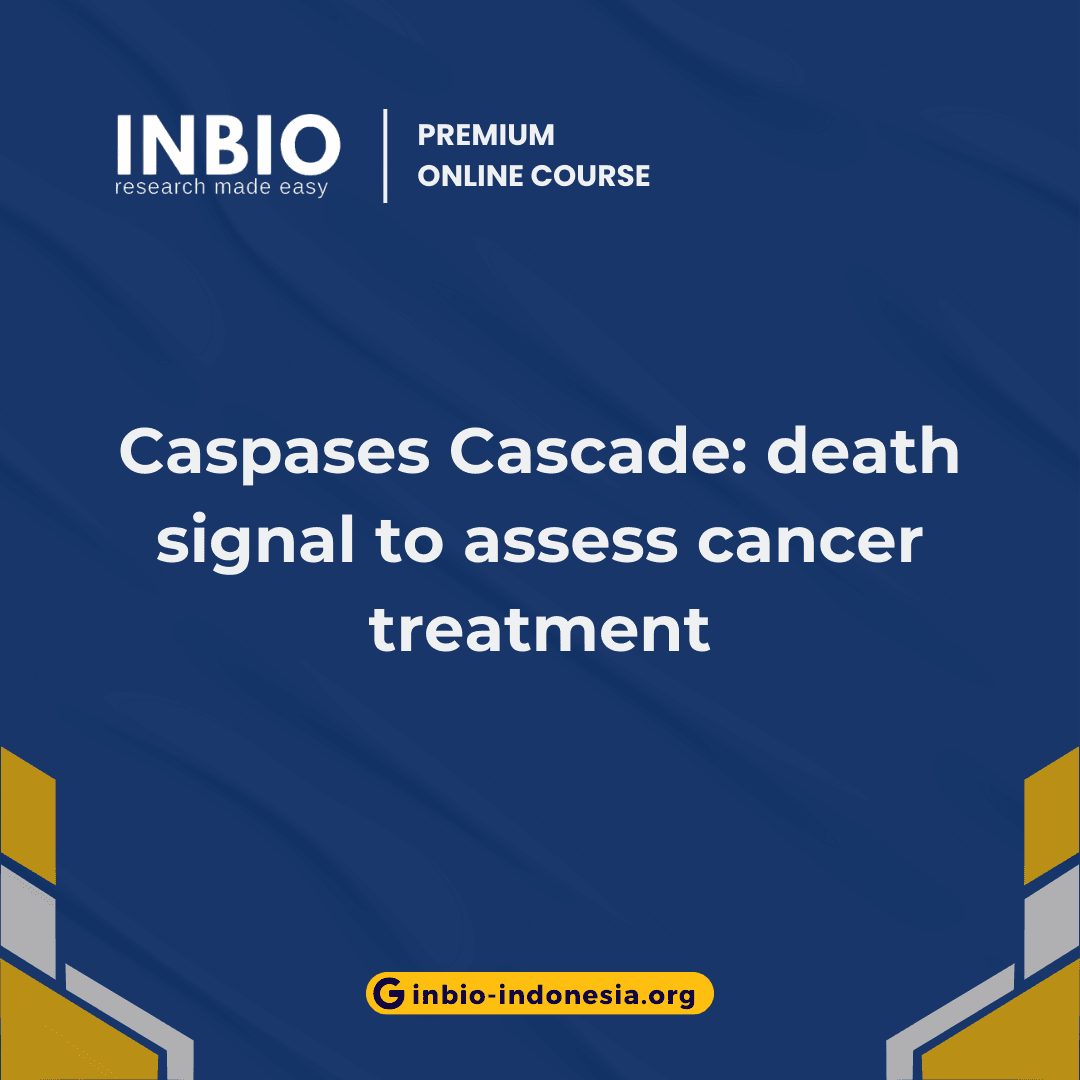 Caspases Cascade: death signal to assess cancer treatment