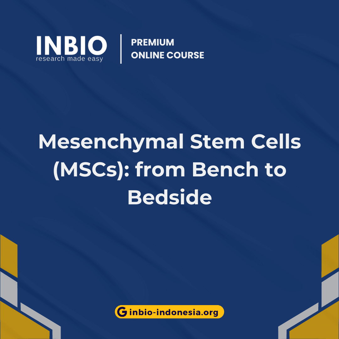 Mesenchymal Stem Cells (MSCs): from Bench to Bedside